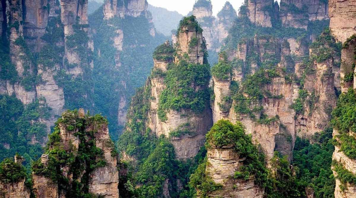 Du lich truong gia vien-gia-gioi