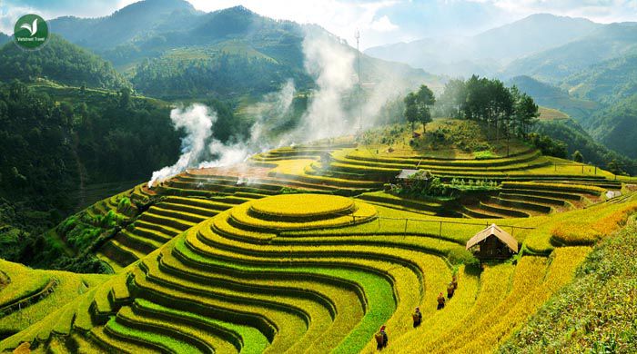 Ruộng bậc thang chế cu nha _ vietstreet