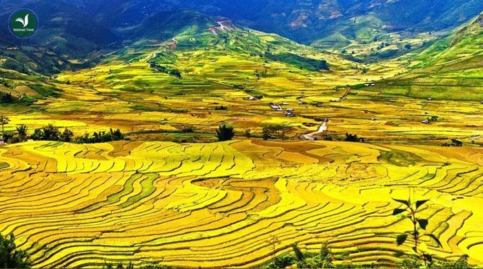ruong bac thang Tu Le Vietstreet Travel