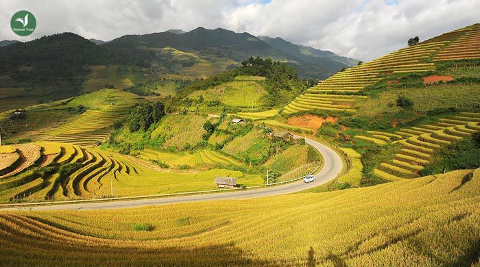 ruong bac thang - vietstreet Travel